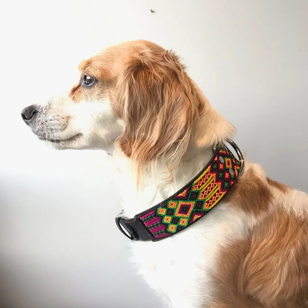 Hand Crafted Pink Leather Dog Collar with Neon Green & Purple Embroidery